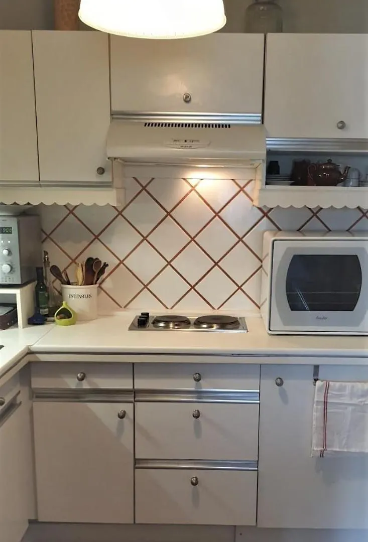 Daire Appartement Chaleureux Au Cours Du 15Eme Paris Fransa